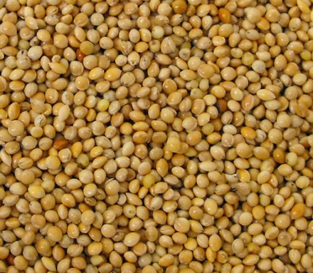 gelemillet